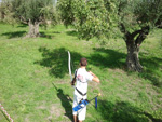 Immagine111